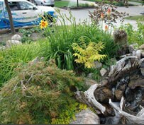 How to Add New Water to Your Pond